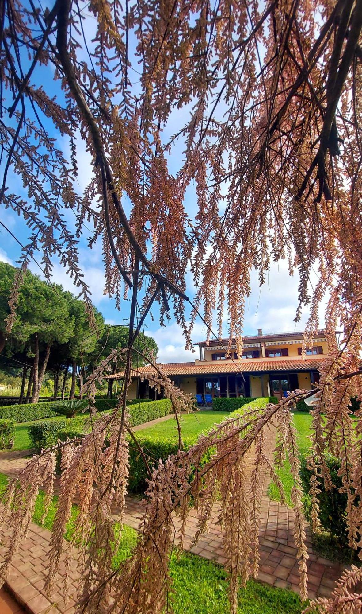 Lido Azzurro Residence Rta Capoliveri  Extérieur photo